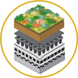 Extensief groendak Nophadrain